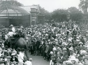 Menigte bezoekers kijkt naar een olifantenrit in de Londense Zoo, augustus bank holiday, 1922